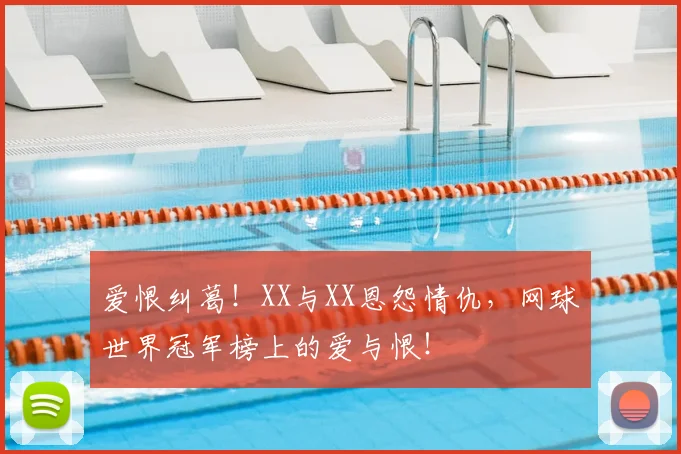 爱恨纠葛！XX与XX恩怨情仇，网球世界冠军榜上的爱与恨！