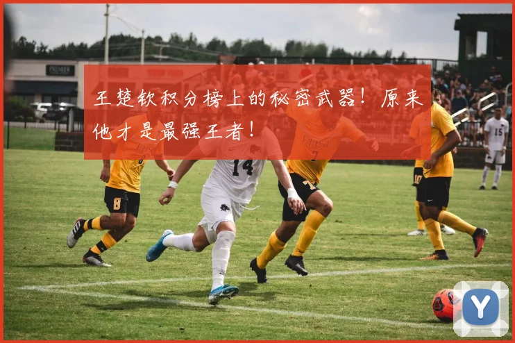 王楚钦积分榜上的秘密武器！原来他才是最强王者！