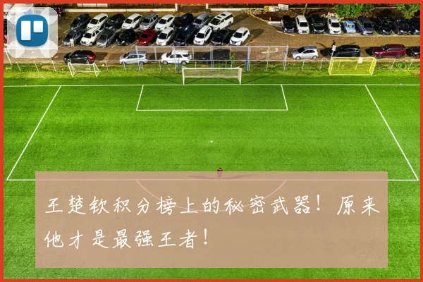 王楚钦积分榜上的秘密武器！原来他才是最强王者！
